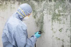 Best Crawl Space Mold Remediation  in Stepney, CT